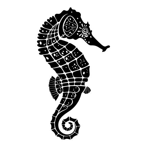 Illustration sea horse, black silhouette on white