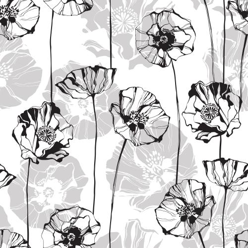 Poppy. Vector monochrome poppies, contours and silhouettes on white