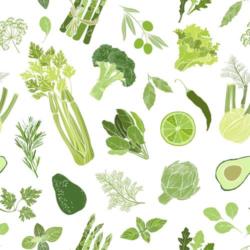 Basil. Vector green vegetables and culinary herbs: celery, broccoli, avocado, pepper, artichoke, fennel, rosemary, basil, dill, parsley, lettuce, olives, spinach, laurel leaf, lime, arugula on white