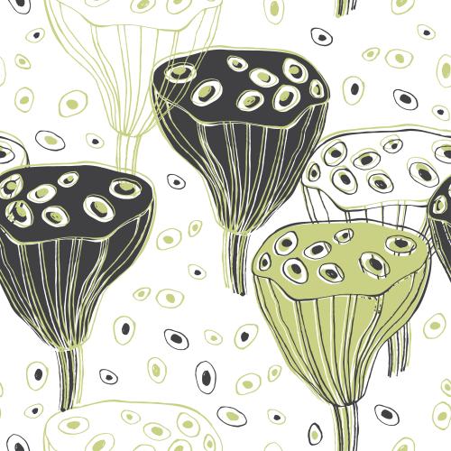 Lotus. Vector lotus boxes nelumbo contours and silhouettes decorative elements on white