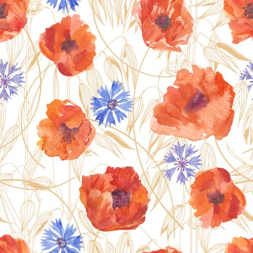 Cornflower. Vector watercolor poppies and cornflowers, oat stalks on white