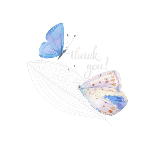 Raster image watercolor butterflies stylized leaf and thank you on white