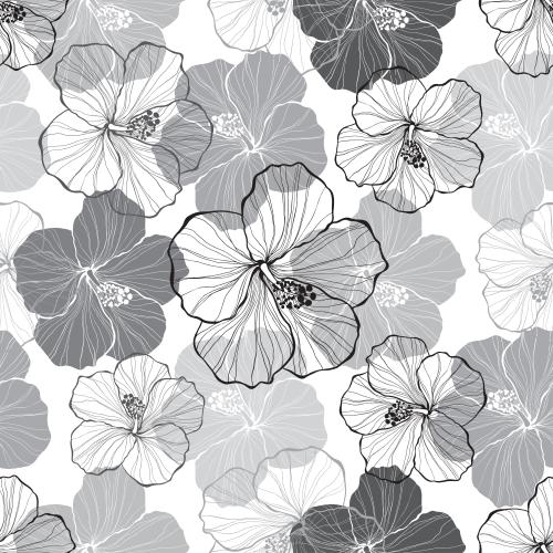 Hibiscus. Vector hibiscus flowers monochrome silhouettes and contours on white