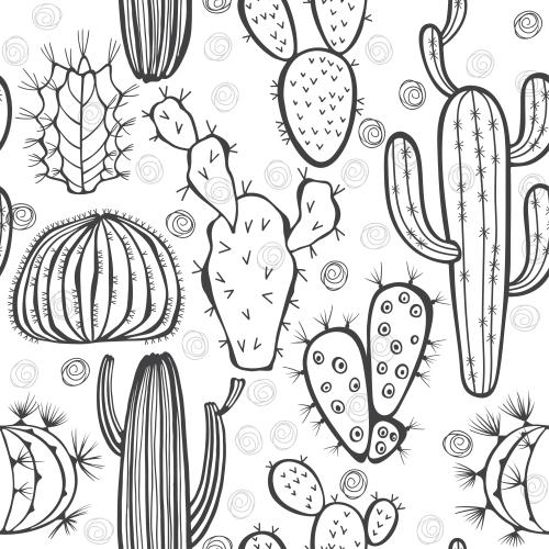 Cactus. Vector cacti on white