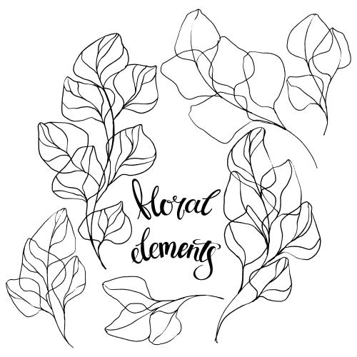Vector image eucalyptus branches on white, various options