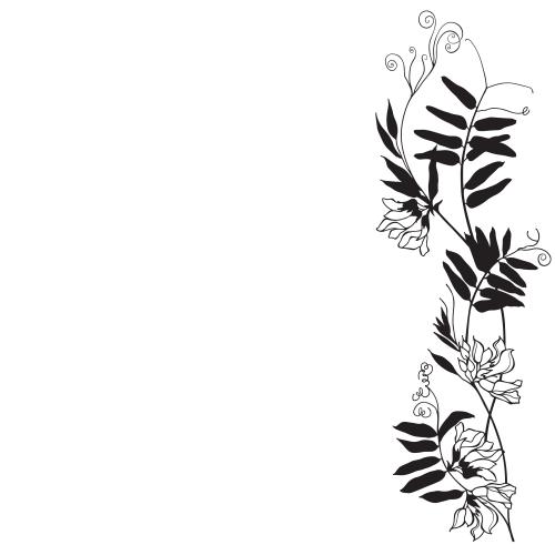 Vector image field flowers place for text on white