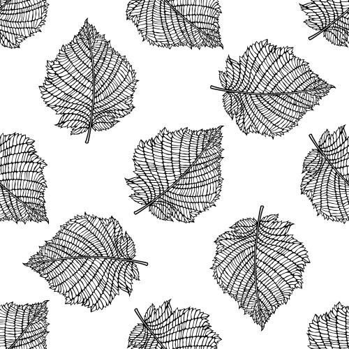 Illustration lace leaves on white