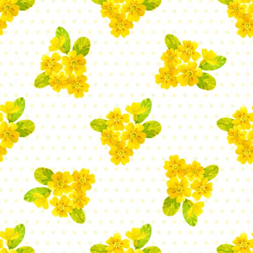 Raster image primula, watercolor flowers on white checkered