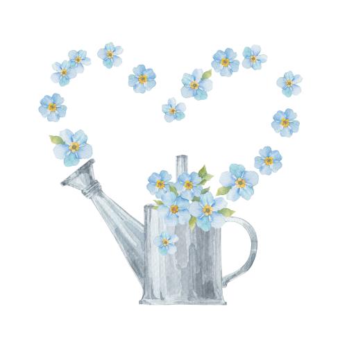 Raster image watercolor forget-me-nots in a watering can flowers in the shape of a heart on white