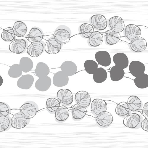 Stripe. Vector eucalyptus branches on white in a thin gray stripe