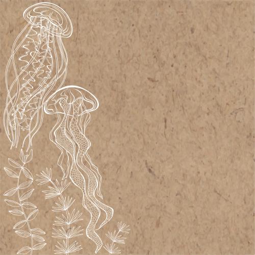 Jellyfish. Vector medusae seaweed text area on craft