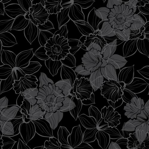 Daffodil. Vector daffodils contours and silhouettes on black