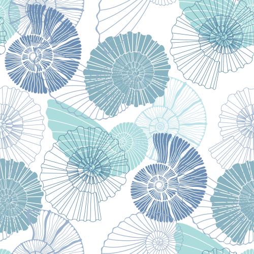 Illustration nautiluses, colored outlines and silhouettes on white