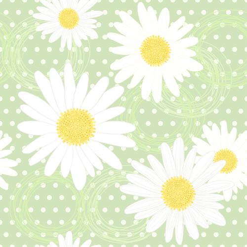 Chamomile. Vector daisies and circles on green in checkered
