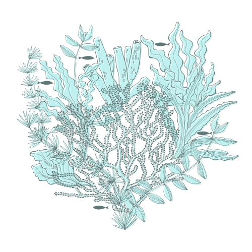 Vector image marine theme composition with seaweeds corals and fish in the shape of a heart on white