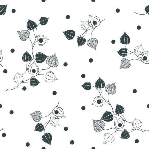 Vector image monochrome physalis branches, berries on white