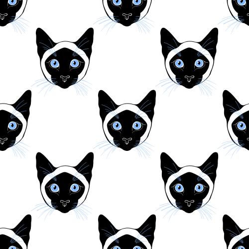 Siamese cat. Vector siamese cats cute faces on white