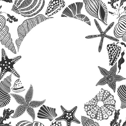 Vector image sea stars shells nautilus sea urchin corals algae round text area on white