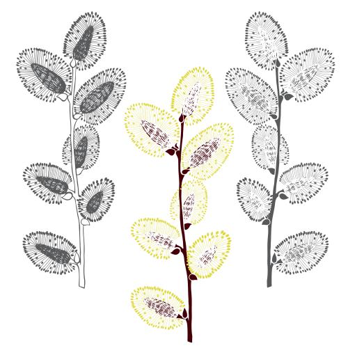 Willow. Vector willow branches, three options
