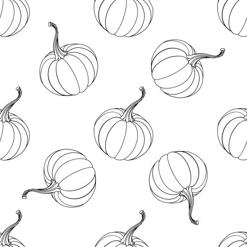Autumn. Vector pumpkins contours on white
