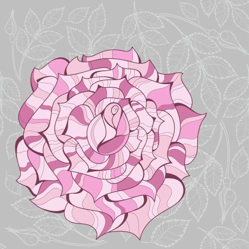 Rose. Vector rose flower and buds with leaves