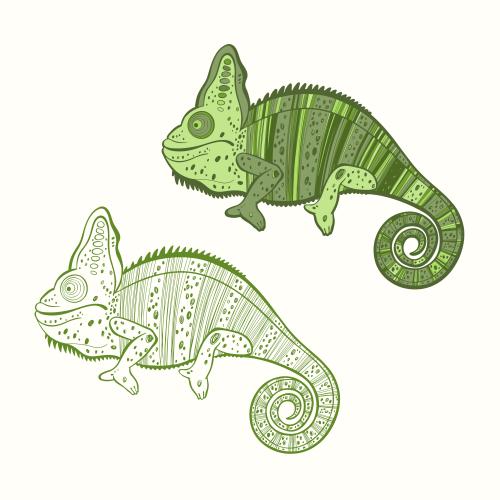 Chameleon. Vector chameleons two different options on white