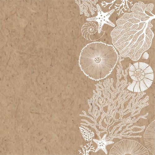 Vector image sea stars shells nautiluses corals algae craft text area