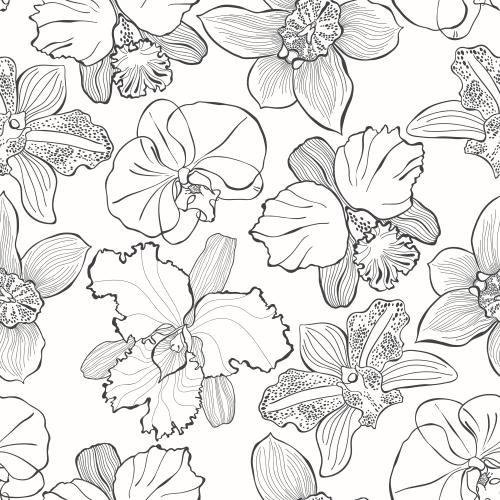 Orchid. Vector orchids of various types, black contours on white