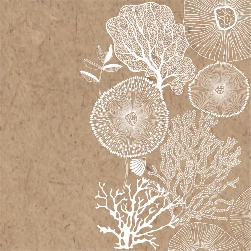 Illustration abstract marine creatures, algae, corals, shell and a place for text on craft