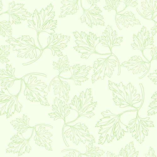 Parsley. Vector parsley leaves on light green