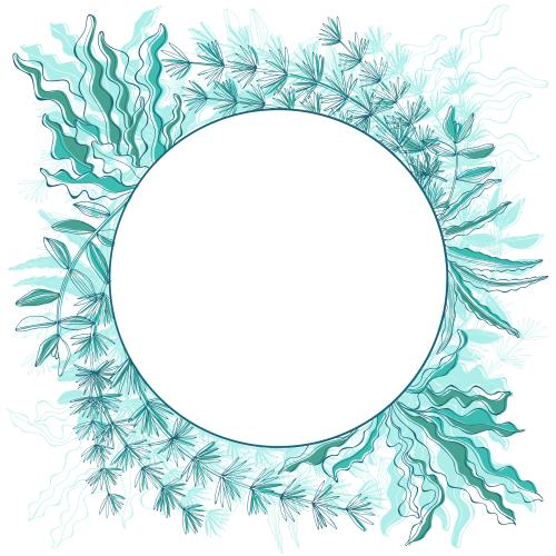 Illustration round frame with marine algae on white