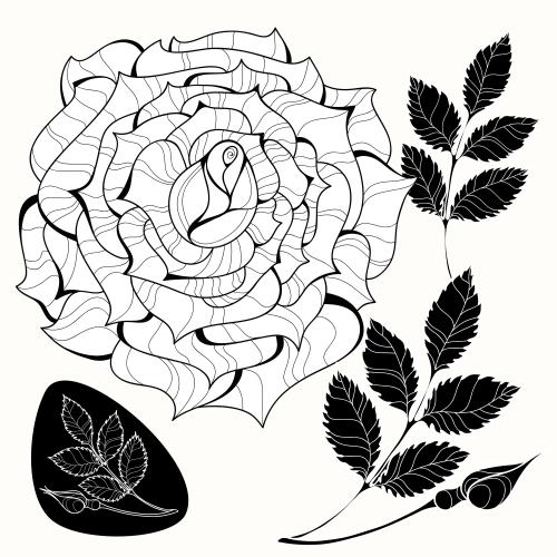 Rose. Vector decorative rose, pink branch with a bud, isolated elements on white