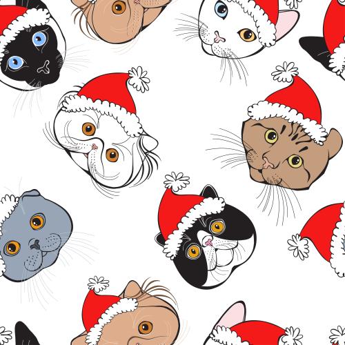 Vector image cute kitten faces of different breeds in new year hats on white