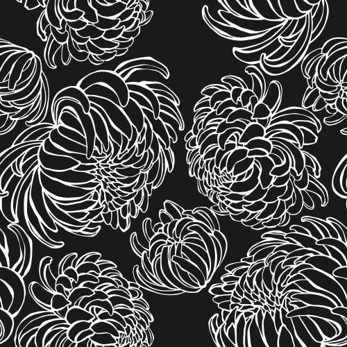 Chrysanthemum. Vector white contours on black
