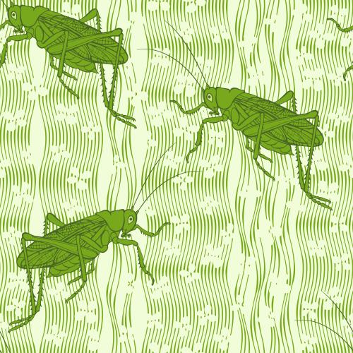 Stripe. Vector grasshoppers flowers vertical wavy stripes on green