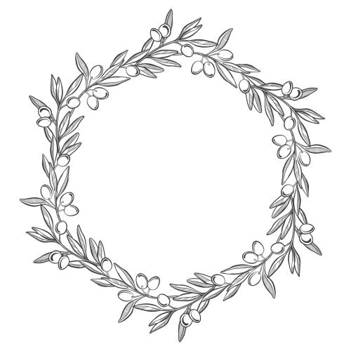 Vector image olive branches, frame on white
