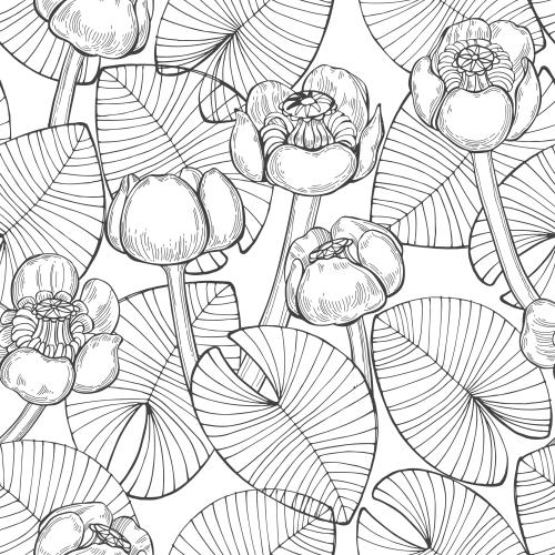 Water lily. Vector monochrome water lilies and leaves on white