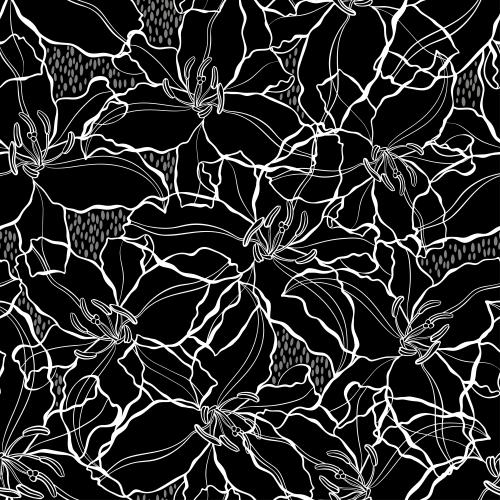 Lily. Vector white contours of lilies on black