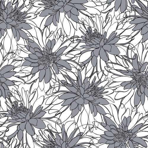 Rudbeckia. Vector rudbeckia on white
