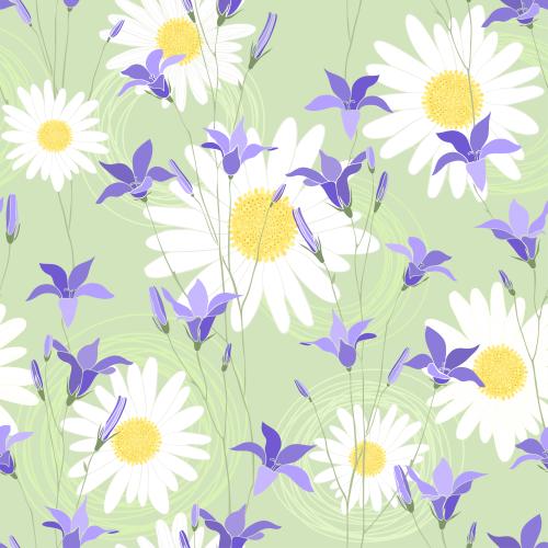 Chamomile. Vector daisies bells decorative circles on green
