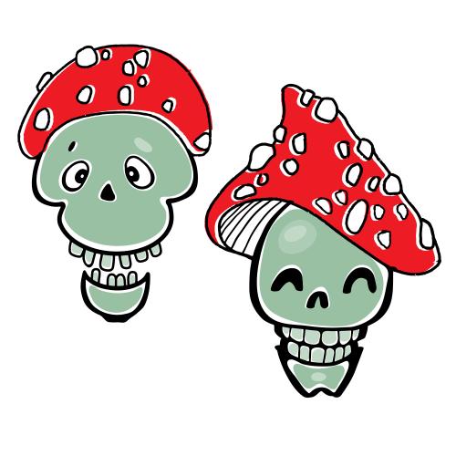 Halloween. Vector two cartoonish skulls in fly agaric caps on white