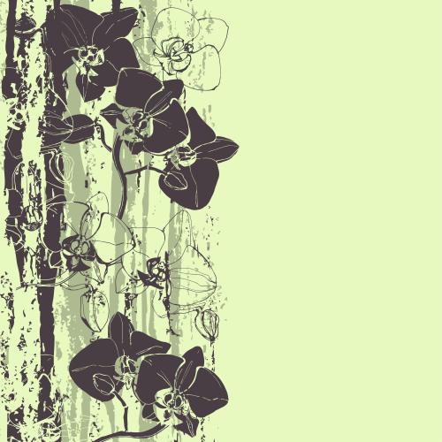 Orchid. Vector orchids textured stripes space for text on green