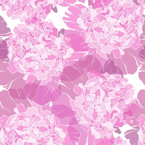 Peony. Vector pink peonies