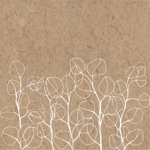 Eucalyptus. Vector contour eucalyptus branches, space for text on craft