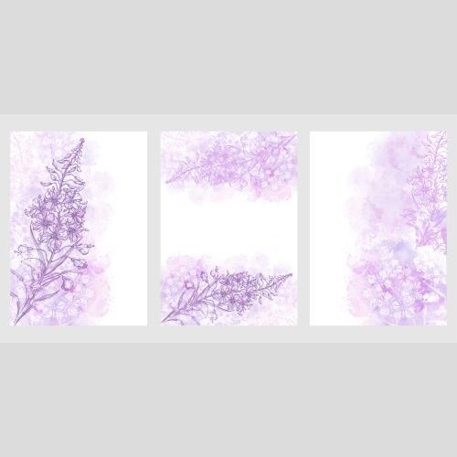 Fireweed. Vector mallow ivan's tea three postcards with flowers and pink watercolor fragments