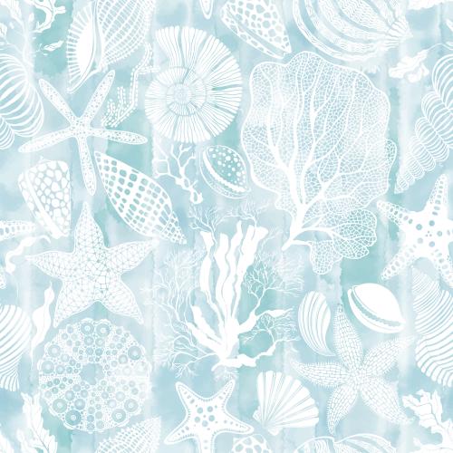 Scallop. Vector sea stars, shells, nautilus, sea urchin, corals, algae on a blue watercolor