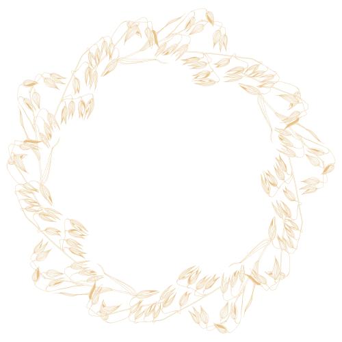 Oats. Vector oat stalks, round frame on white