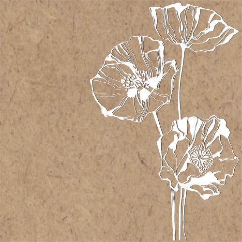 Poppy. Vector poppy flowers, text area on craft