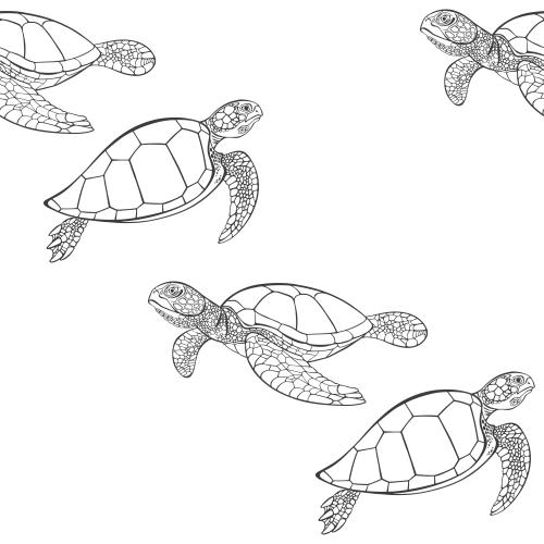 Turtle. Vector turtles, black outlines on white