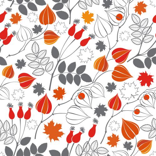 Maple leaf. Vector physalis dog rose maple leaves silhouettes and outlines color and monochrome on white